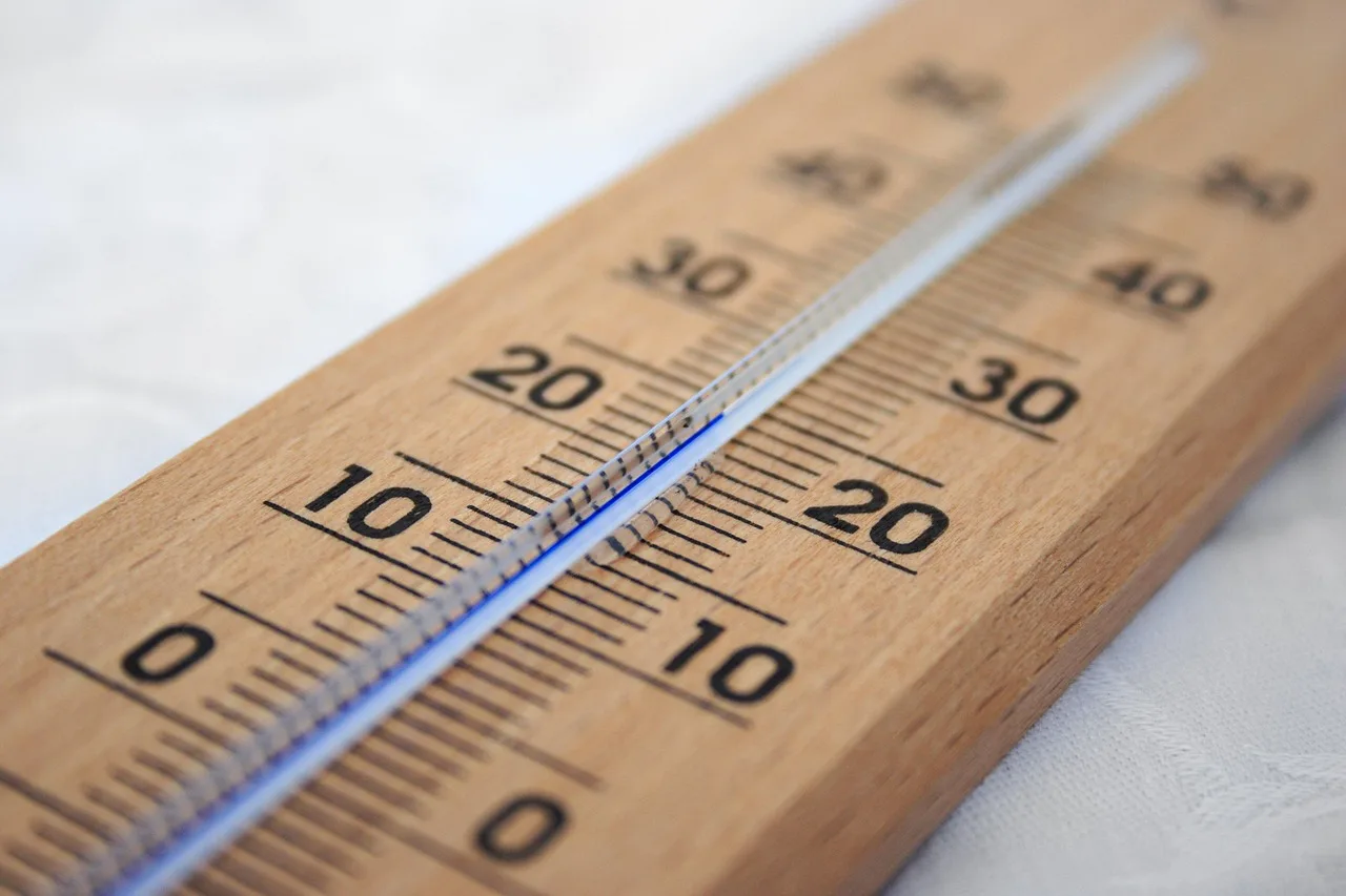 celsius, centigrade, gauge, glass, heat, indicator, instrument, measure, scale, temperature, thermometer, tool, wall, warm, weather, wood, wooden, brown wood, brown wall, brown glass, brown tools, brown glasses, temperature, temperature, temperature, temperature, temperature, thermometer, thermometer. Climate Controlled vs Non Climate Controlled Self Storage: Which Unit Wins?