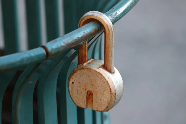 lock, can, metal, old, casting, plastic, storage. How US self-storage lien laws work in Texas, California, Florida, New York and Illinois