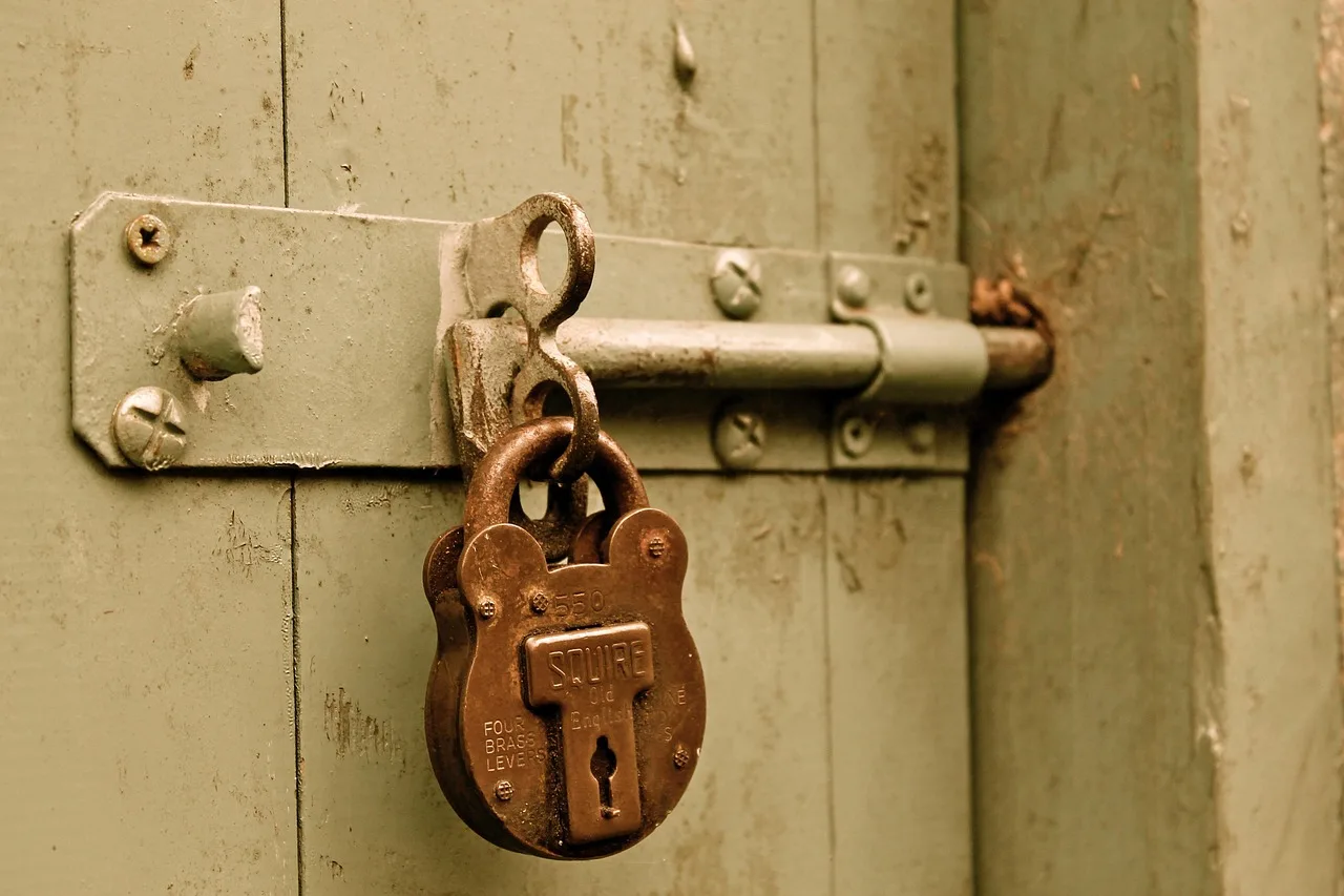 bolt, padlock, door, locked, paint, gate, brass, lock, brown door, brown paint, padlock, padlock, padlock, locked, locked, locked, lock, lock, lock, lock, lock. The margin math behind a self-storage business for owner-operators