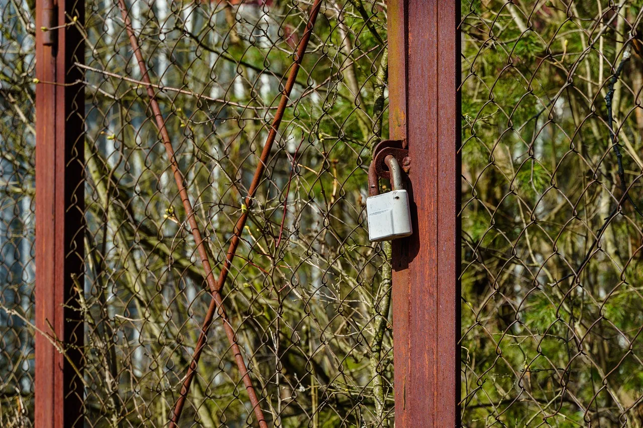 padlock, gate, closed, blocking, metal, old, rusty, rust, locks, padlocks, entrance, access, protection, village, to protect. 9 things to check in self-storage software